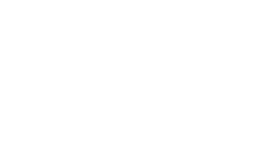 VP Cultural